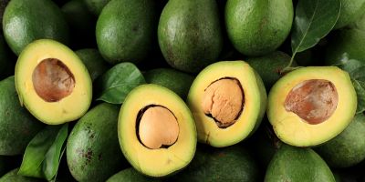 Avocado