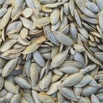 Pumpkin seed